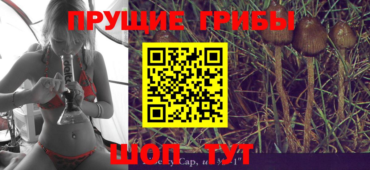 Галлюциногенные грибы GOLDEN TEACHER  Галлюциногенные грибы мицелий  Вход с VPN  Новосибирск 